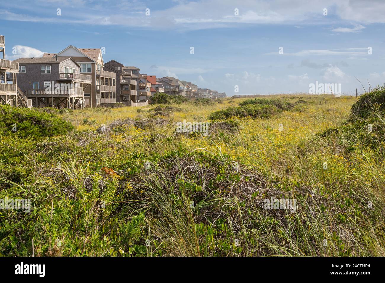 Outer Banks, North Carolina.  Vegetation Filling Gap between Vacation Homes and Beach Helps Stabilize the Sand. Stock Photo