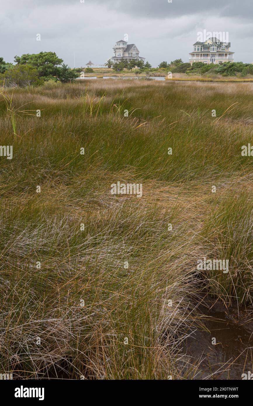 Outer Banks, North Carolina. Hatteras Village Houses and Wetlands Stock ...