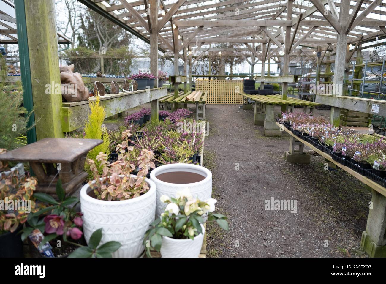 Garden interior Stock Photo