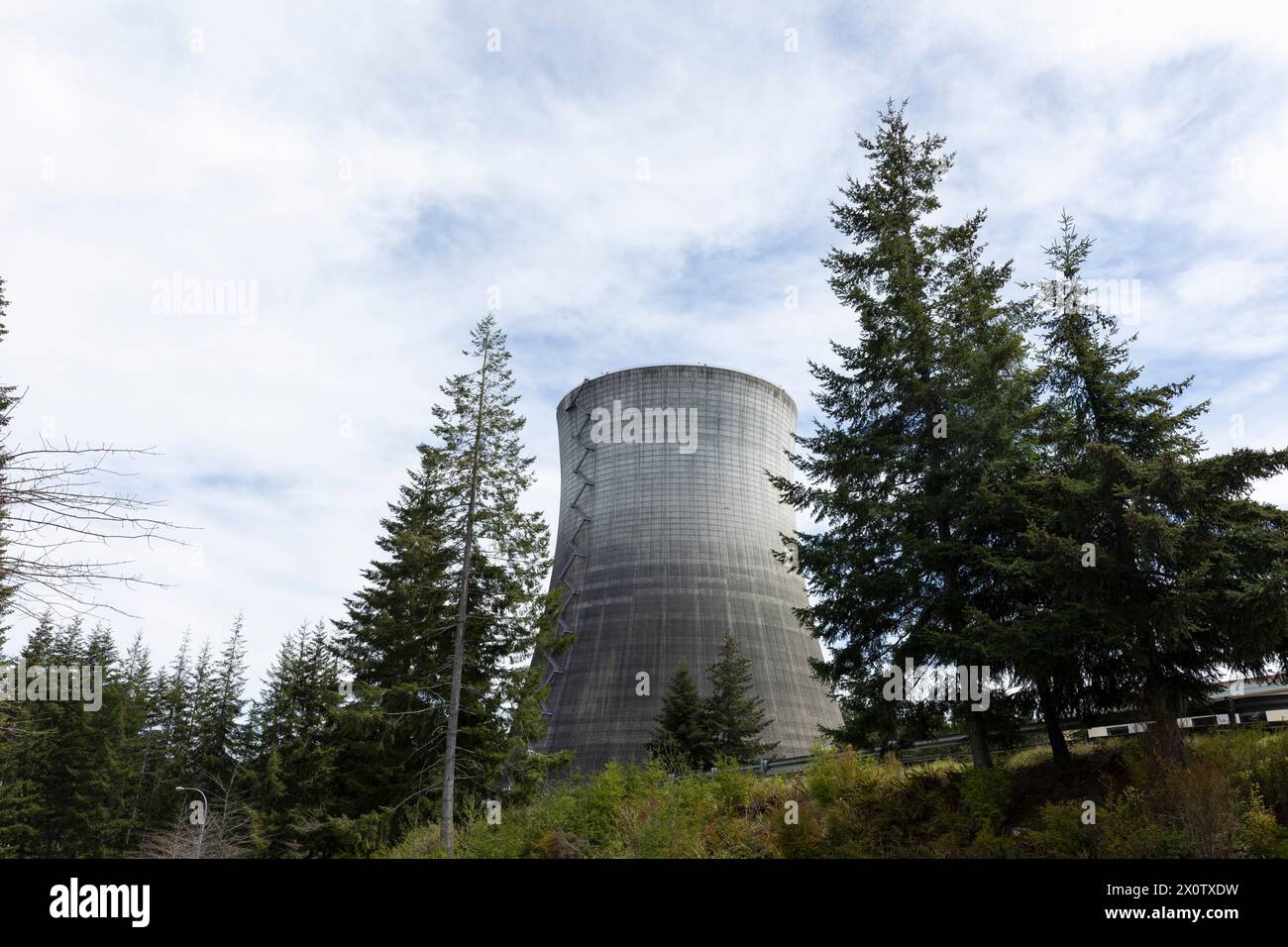 Cooling tower of the Satsop Nuclear Power Plant looms
