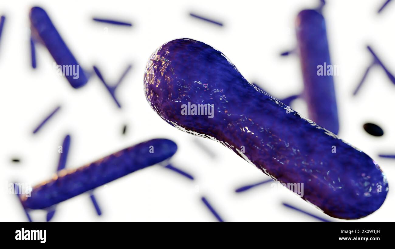 3d rendering of Clostridium botulinum isolated on the white background Stock Photo