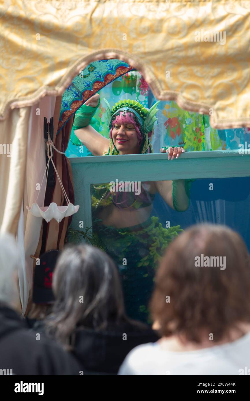 Aberdeen, Washington, USA. 13th April, 2024. Una the Mermaid leaves a gift for a visitor in a seashell from her tank at the Mermaid Festival. Credit: Paul Christian Gordon/Alamy Live News Stock Photo
