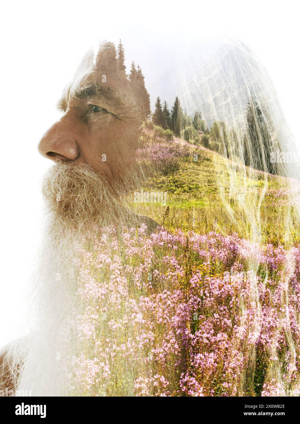 A profile double exposure of an old man merged with a photo of nature ...