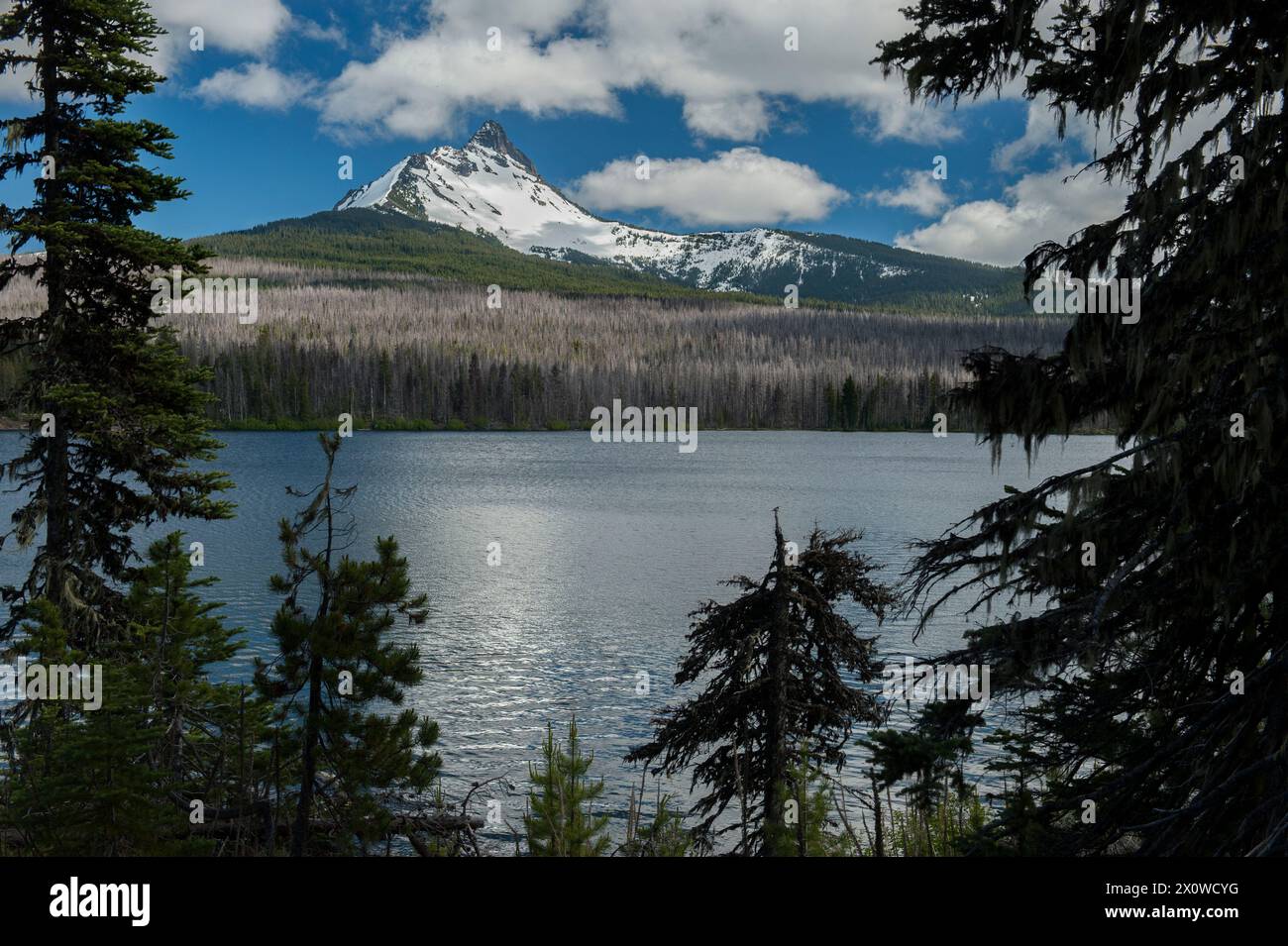 Oregon's Mt. Washington rises above Big Lake at the summit of the Cascades Stock Photo