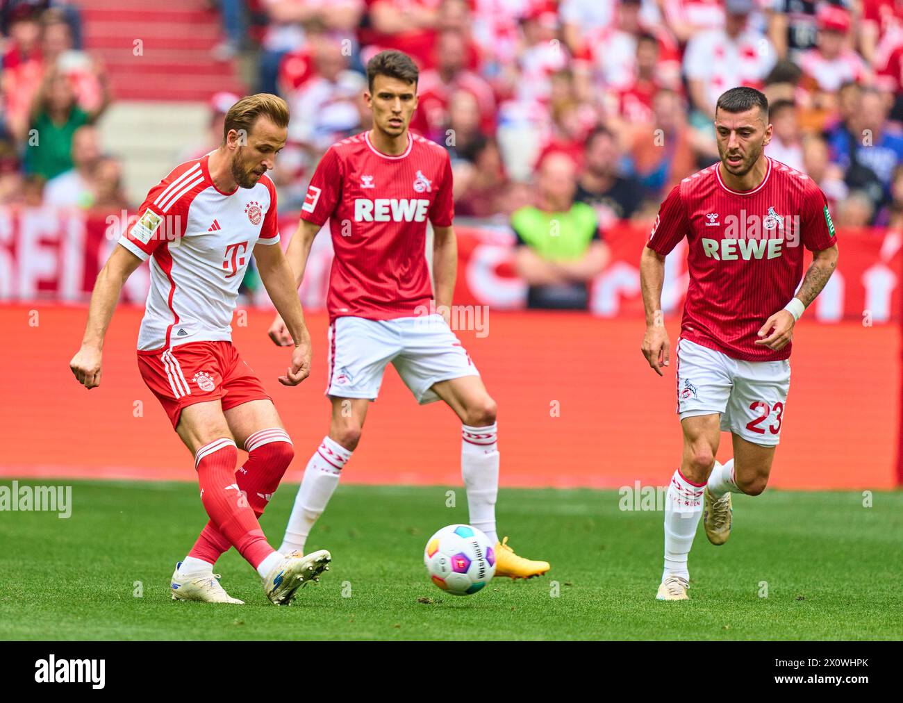 fcb9  compete for the ball, tackling, duel, header, zweikampf, action, fight against Dejan Ljubicic, 1.FCK 7 Sargis Adamyan, 1.FCK 23   in the match  FC BAYERN MUENCHEN - 1.FC KOeLN 2-0   on April 13, 2024 in Munich, Germany. Season 2023/2024, 1.Bundesliga, FCB,, Muenchen, matchday 29, 29.Spieltag Photographer: ddp images / star-images    - DFL REGULATIONS PROHIBIT ANY USE OF PHOTOGRAPHS as IMAGE SEQUENCES and/or QUASI-VIDEO - Stock Photo