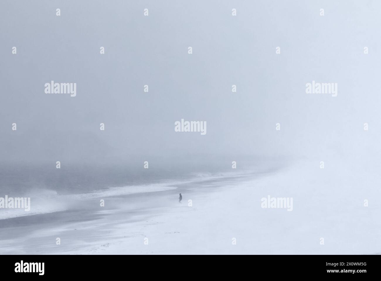 Lone figure on a snow covered beach in a blizzard Stock Photo