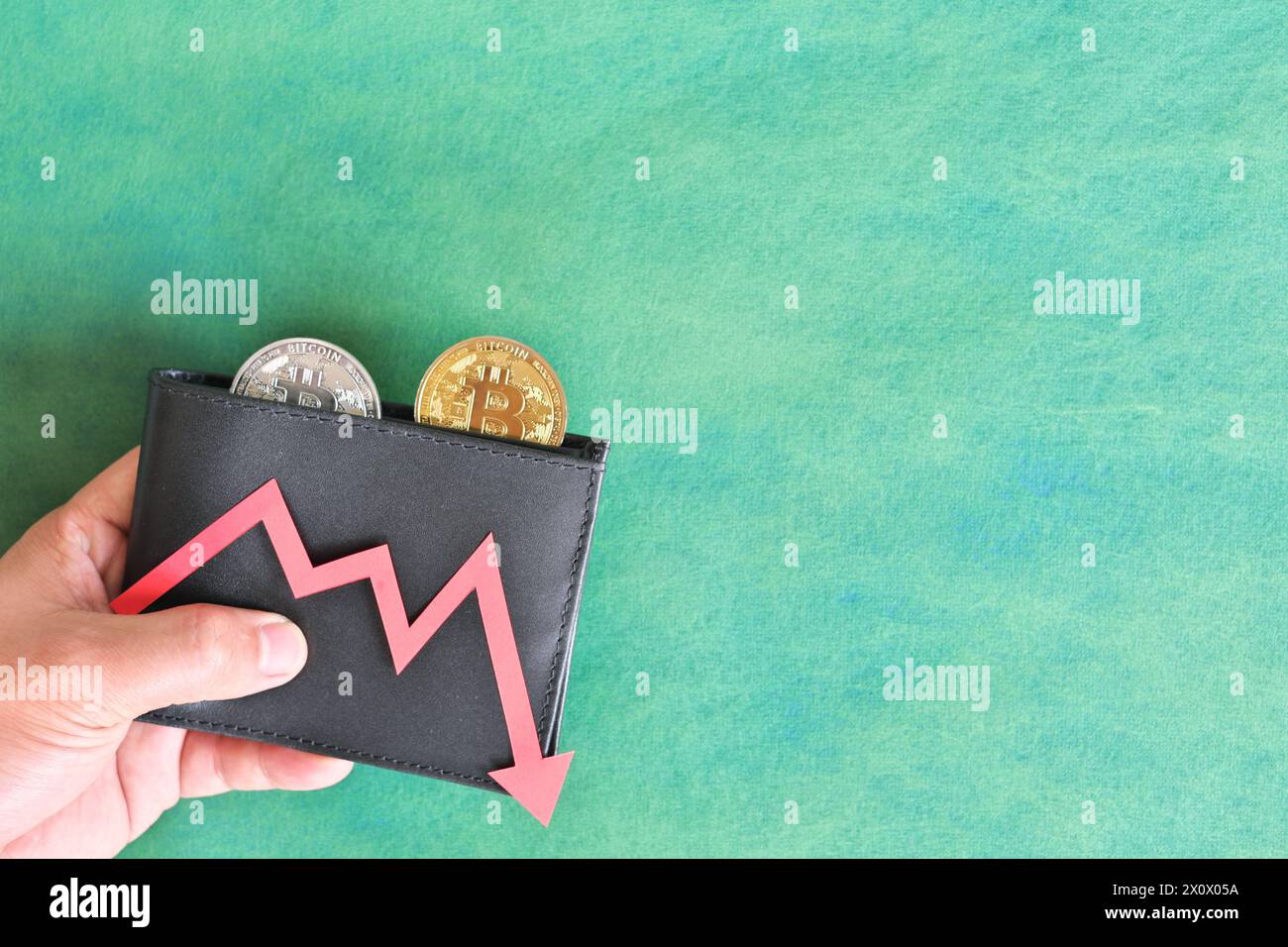 Human hand holding black a wallet with bitcoin and downward red arrow and coin inside. Cryptocurrency bear run and price decrease concept. Stock Photo