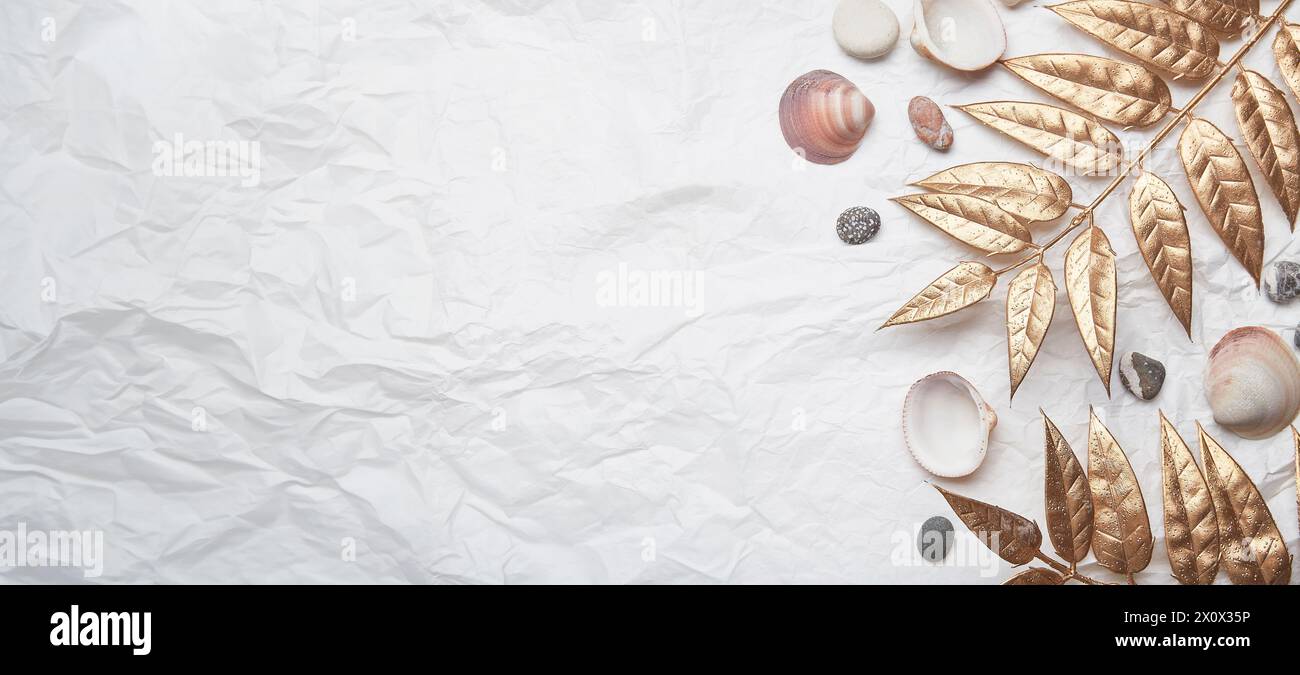 rustic seashell summer background with copy space. Extra wide banner. Stock Photo