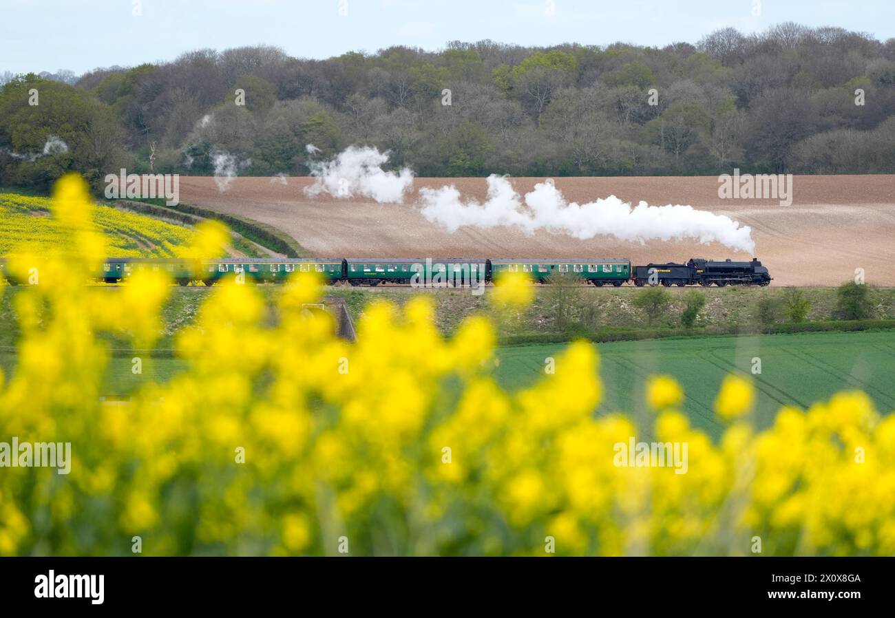The S15 class steam locomotive 506 makes it's way along the Mid Hants Railway, also known as the Watercress line, near to Ropley in Hampshire. The hottest day of the year so far will be followed by temperatures of minus 2C in parts of the UK, the Met Office has said. Picture date: Sunday April 14, 2024. Stock Photo