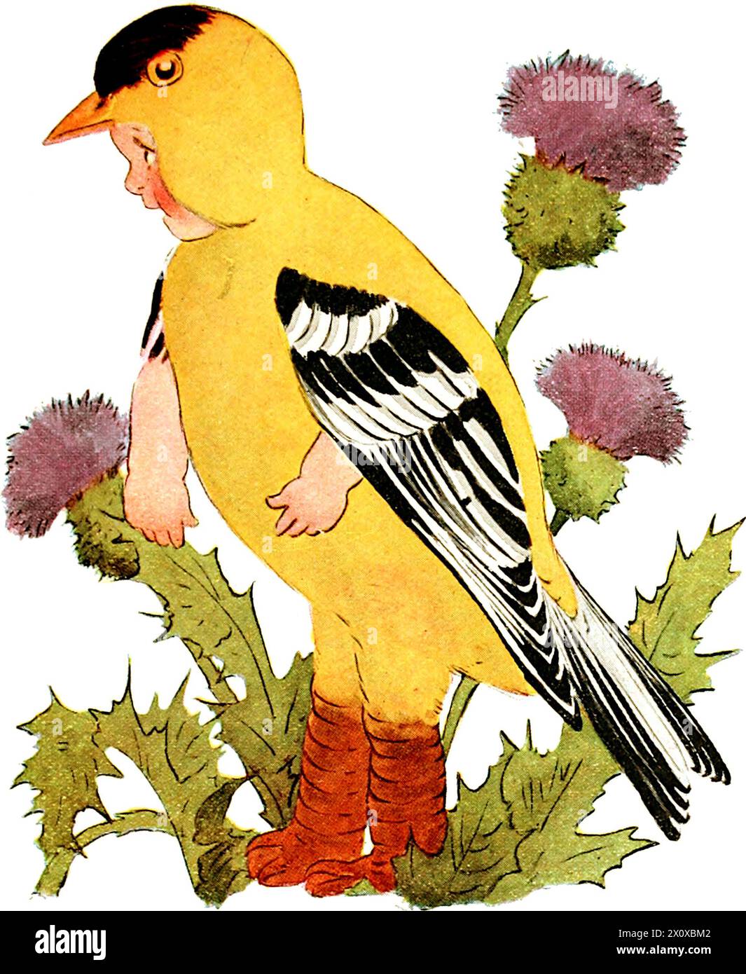 Bird Children - The Little Playmates of the Flower Children By Elizabeth Gordon. Drawings by Marion T. Ross - 1912 - Goldfinch - Whimsical Stock Photo