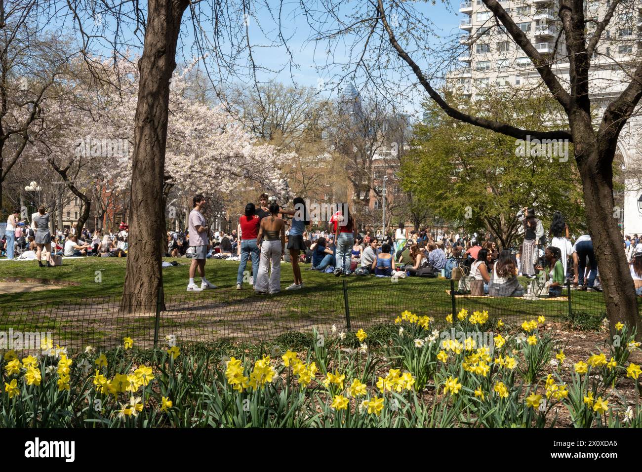 NYU students enjoy a warm spring day by sunbathing in Washington Square