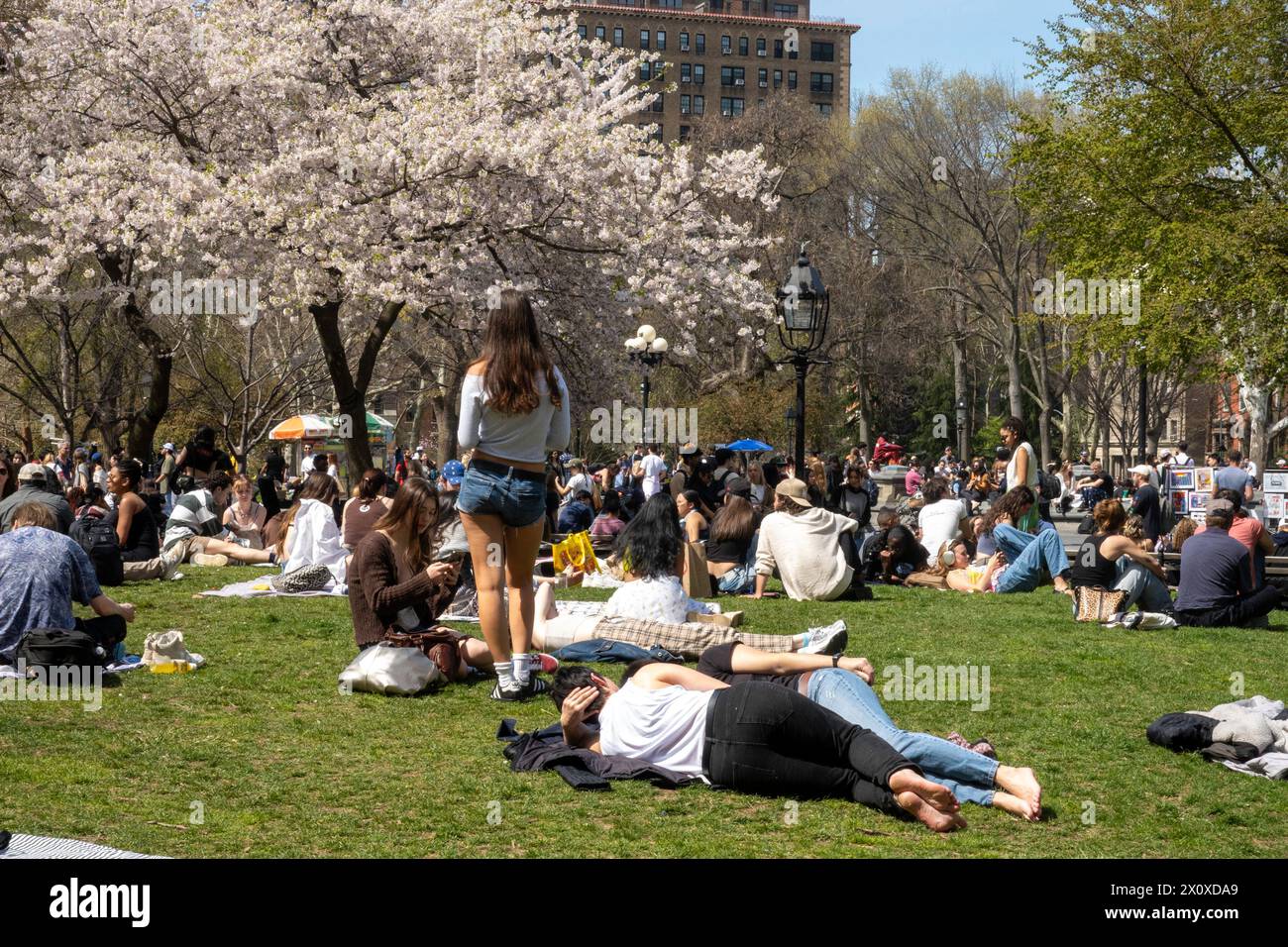 NYU students enjoy a warm spring day by sunbathing in Washington Square