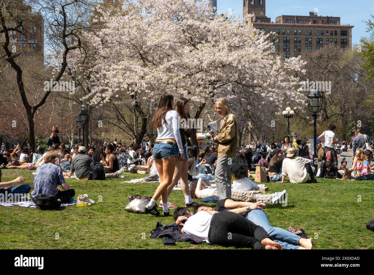 NYU students enjoy a warm spring day by sunbathing in Washington Square