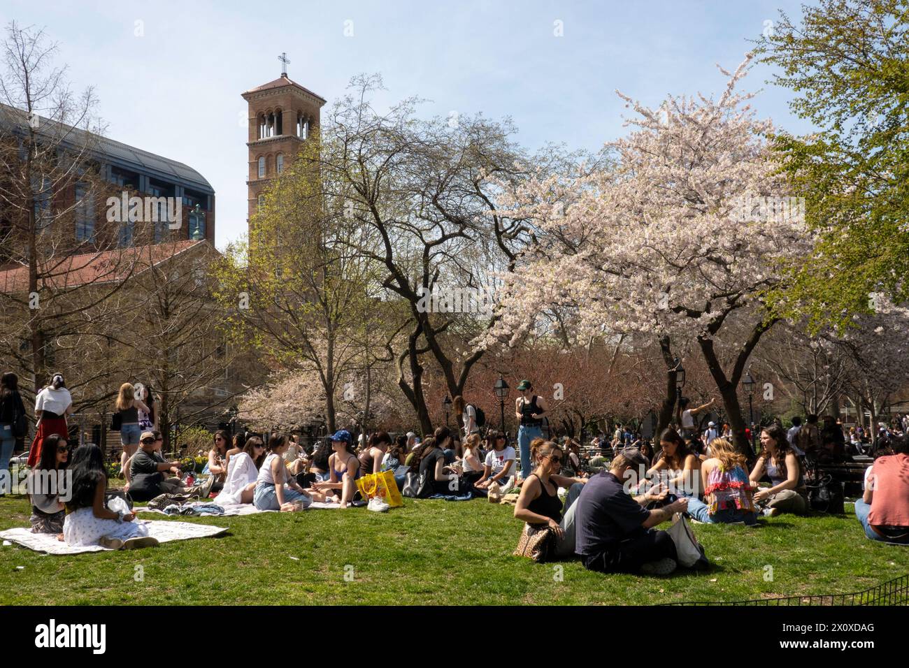NYU students enjoy a warm spring day by sunbathing in Washington Square