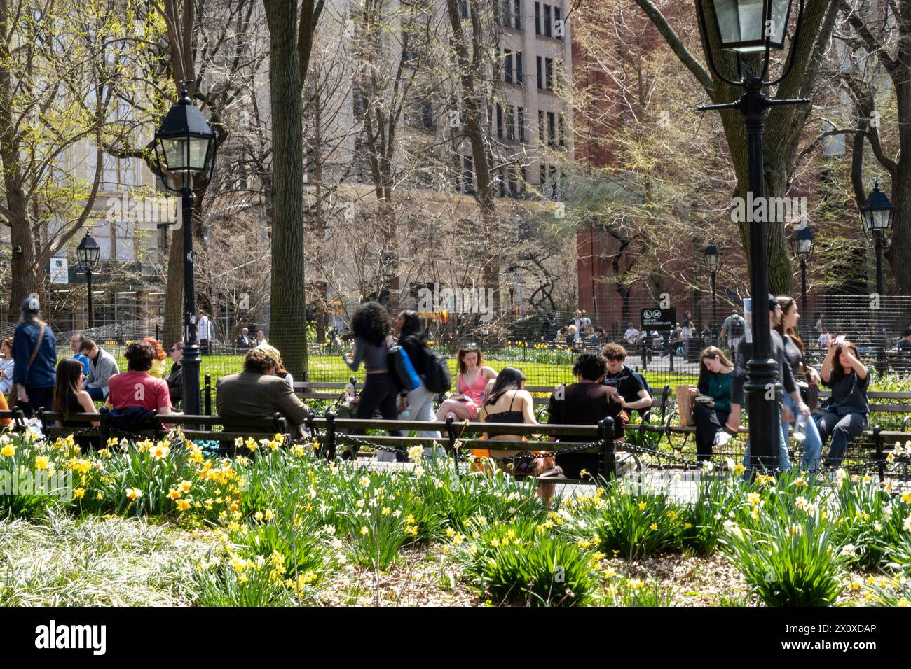 NYU students enjoy a warm spring day by sunbathing in Washington Square