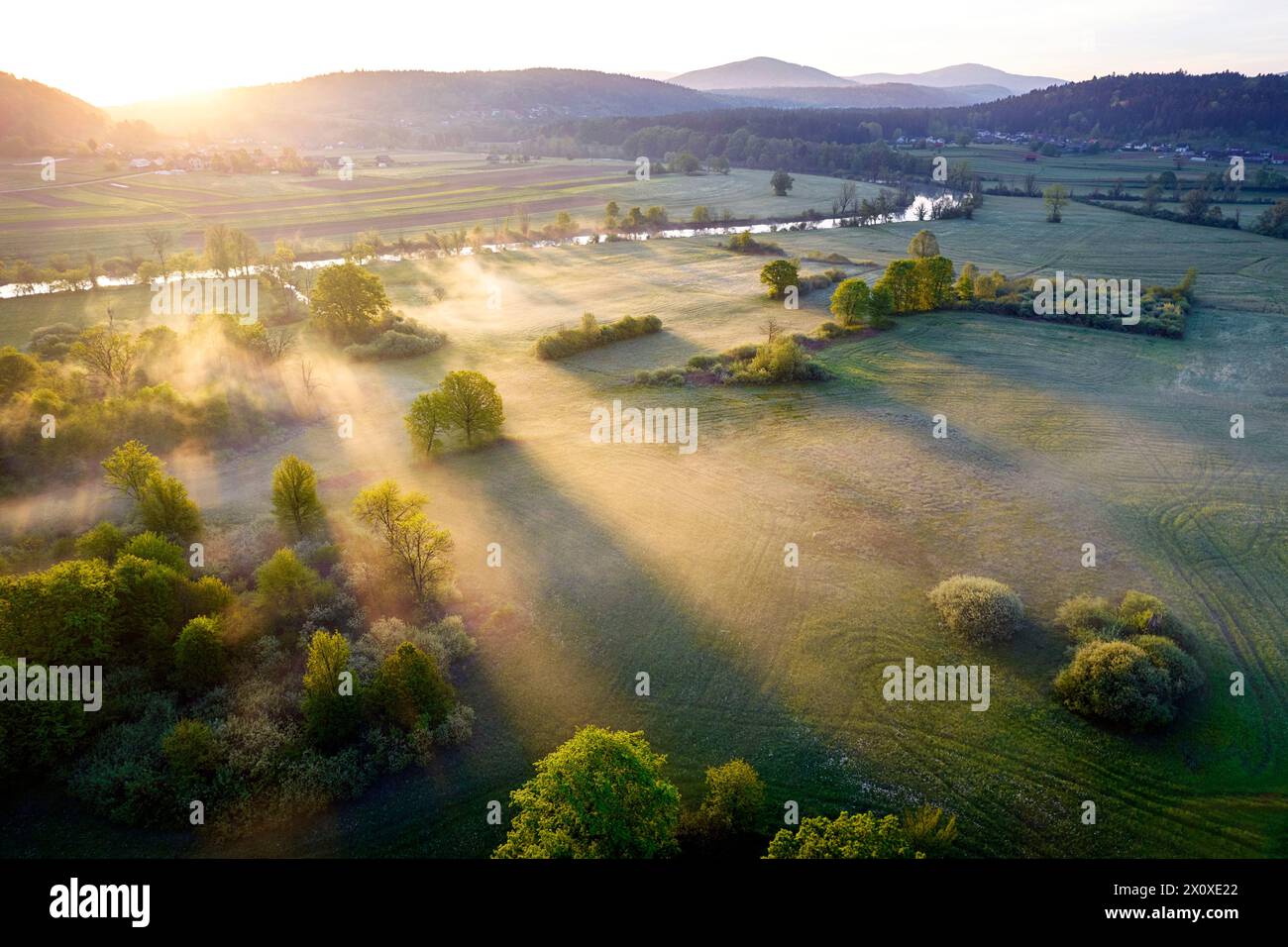 Spectacular morning light and mist on a beautiful meadow surrounded with lush forest close to Krka river, Dolenjska, Novo mesto, Slovenia Stock Photo