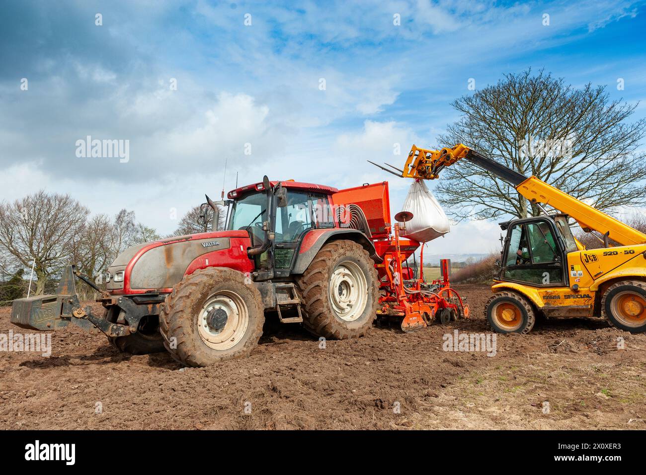 Loading wheat seed into a seed drill mounted on a Valtra tractor, on an arable farm in spring, North Yorkshire. Stock Photo