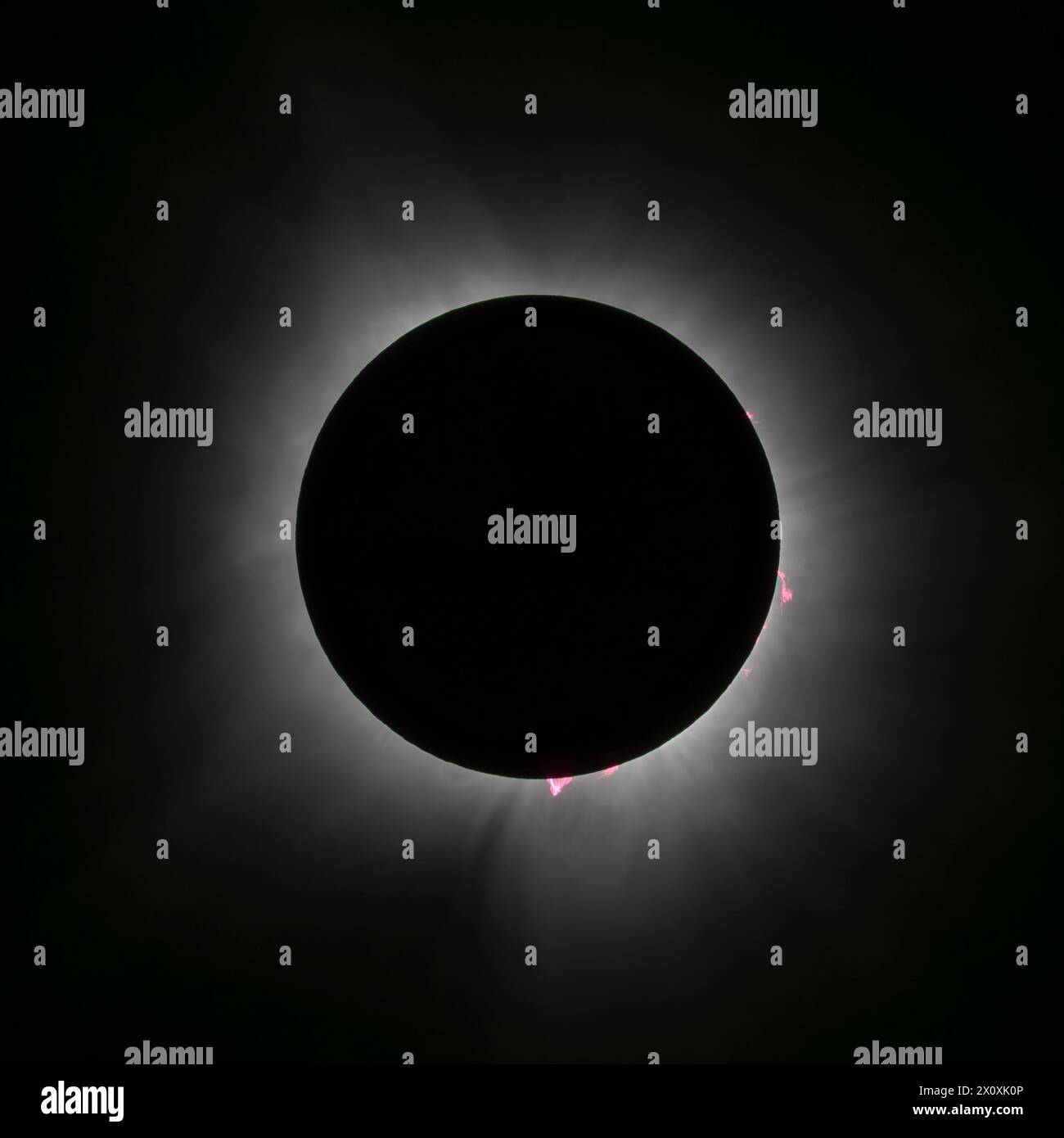 Totality during the solar eclipse on April 8, 2024, with solar prominences and the solar corona visible. Stock Photo