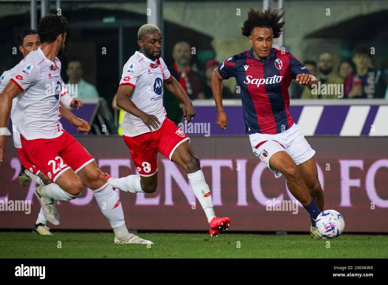 Bologna, Italy. 13 Apr, 2024. Joshua Zirkzee, during Bologna FC 1909 Vs AC Monza, Serie A, at U-Power Stadium. Credit: Alessio Morgese/Alessio Morgese / Emage / Alamy live news Stock Photo