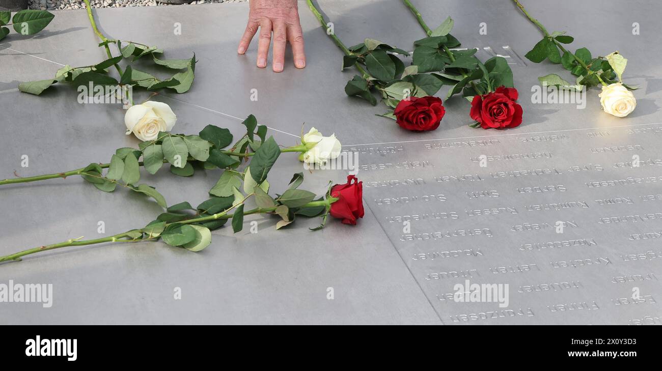 14 April 2024, Thuringia, Weimar: White and red roses lie on a memorial plaque at the commemoration of the 79th anniversary of the liberation of Buchenwald concentration camp. At the end of the Second World War, Buchenwald concentration camp was the largest concentration camp in the German Reich. From 1937 until its liberation, the Nazis had deported almost 280,000 people from all over Europe to the concentration camp near Weimar and its 139 satellite camps. The liberation of Buchenwald was experienced by 21,000 inmates. Photo: Bodo Schackow/dpa Stock Photo