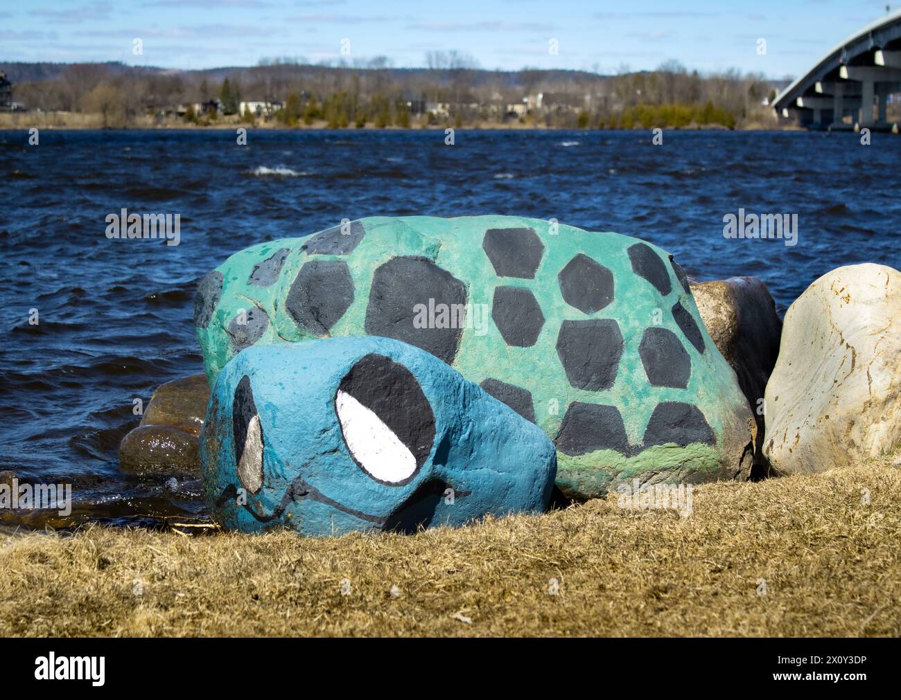 Painted turtle rocks near river Stock Photo - Alamy