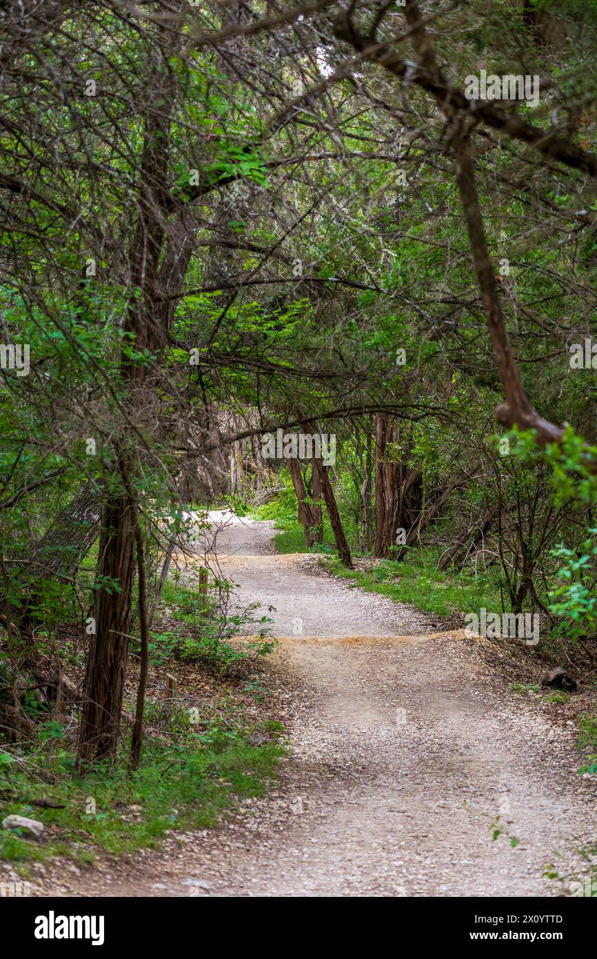 Friedrich Wilderness Park in San Antonio, Texas Stock Photo