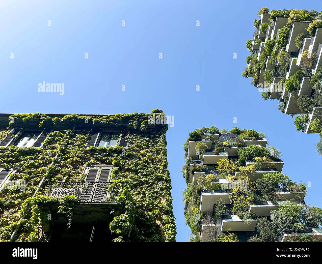 View of the balconies and terraces of Bosco Verticale, full of green plants. Spring time. 04-11-2024. Milan, Porta Nuova skyscraper residences, Italy Stock Photo