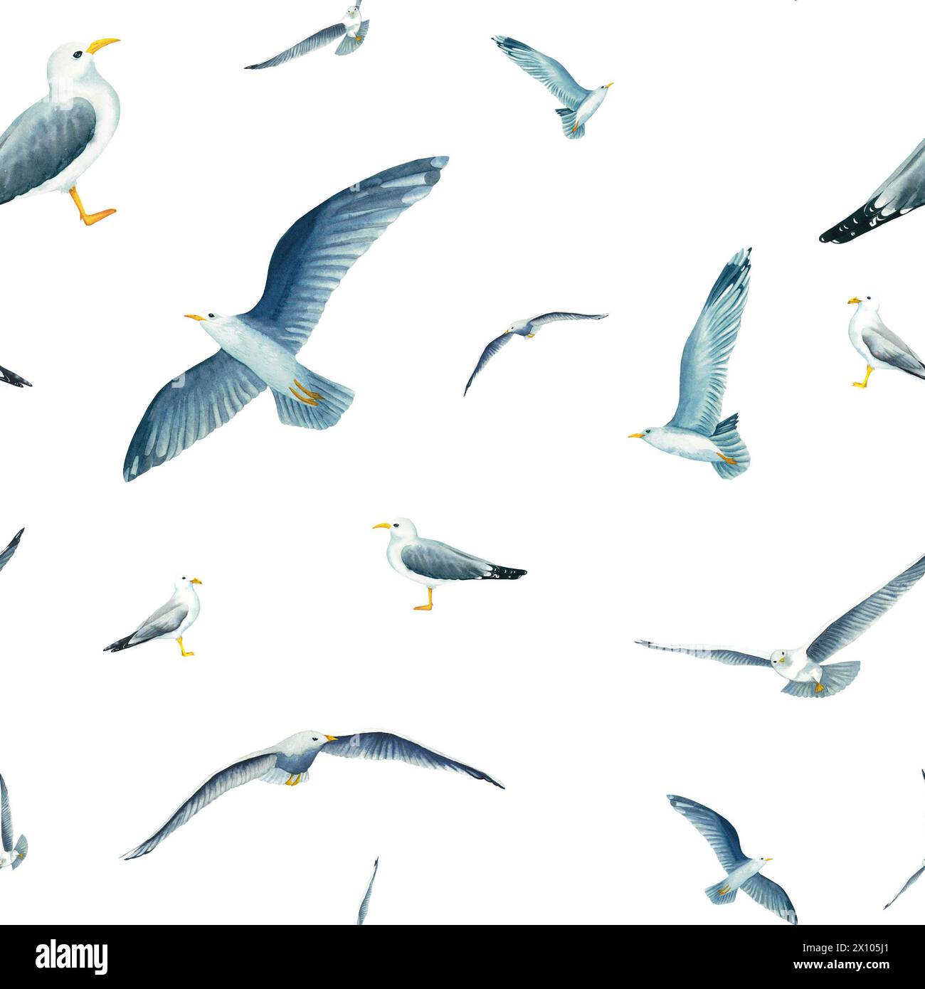 Seamless pattern with flying in the sky seagulls in watercolor isolated on white background. Hand drawn illustration on the theme of sea fishing. Chil Stock Photo