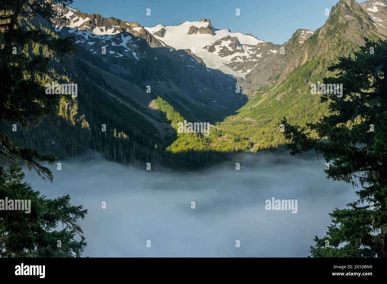 Low Clouds Hang in the Valley Below Mount Olympus in Olympic National ...