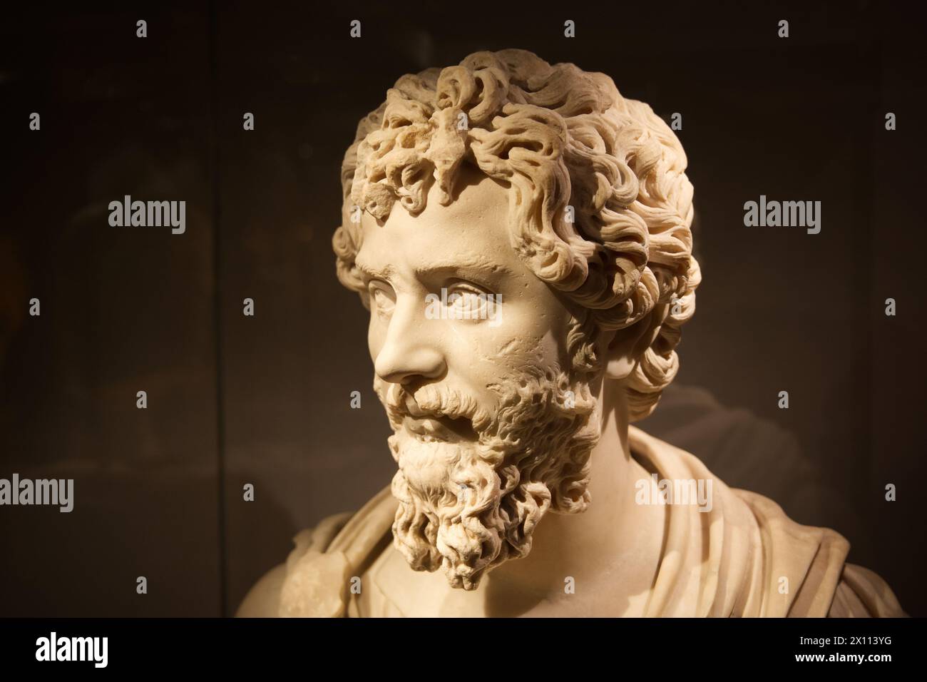 Marble bust of Septimius Severus, Rome, Italy, AD 200-10 Stock Photo