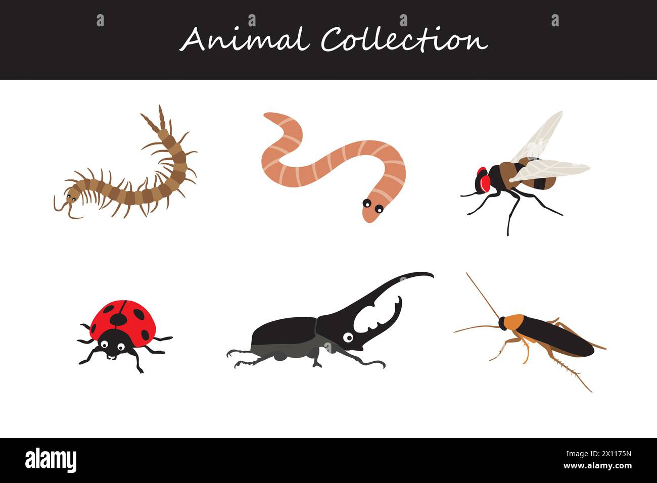 Animals collection isolated on white background. Flat style vector ...