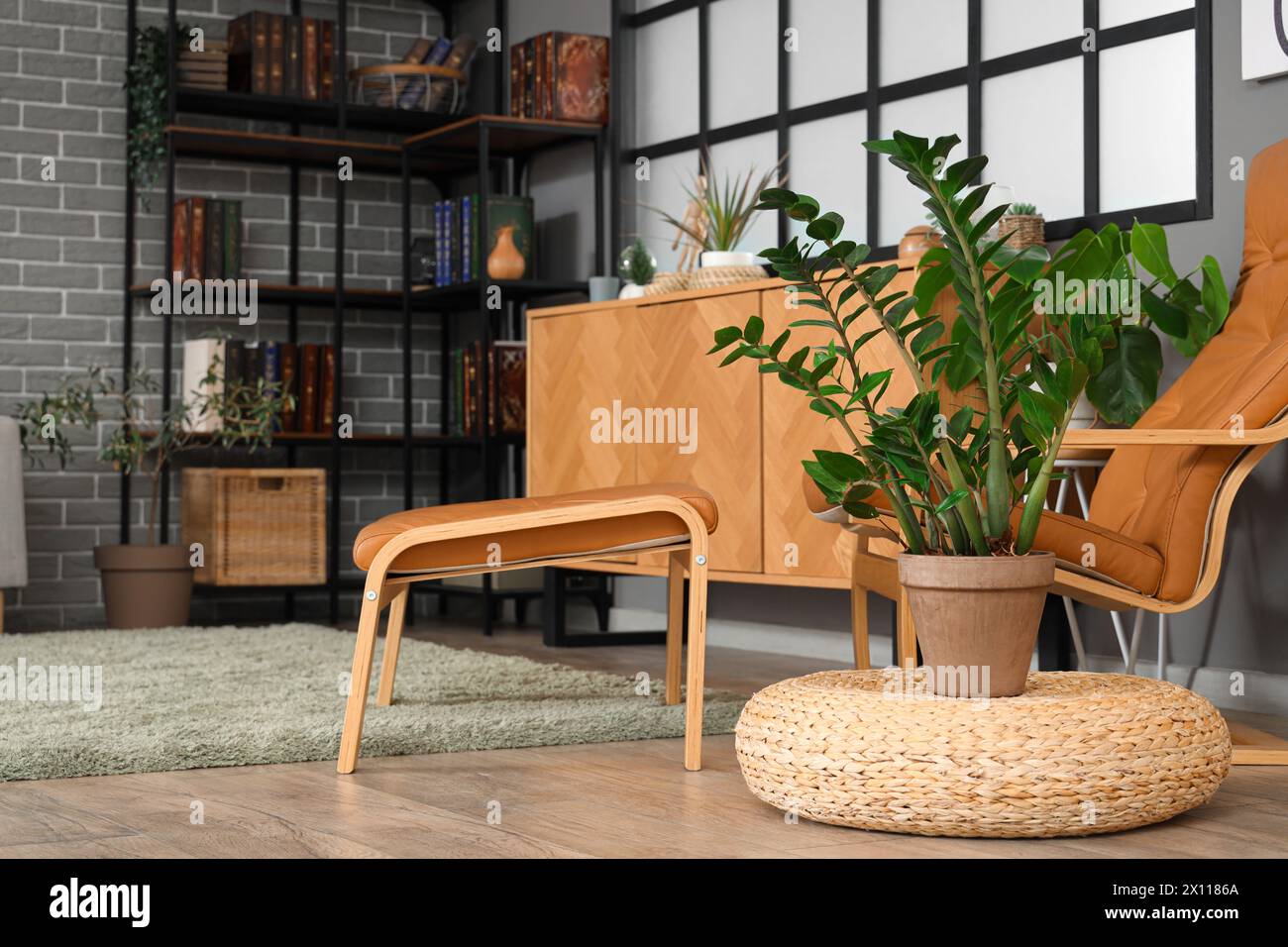Interior of living room with armchair and plants Stock Photo - Alamy