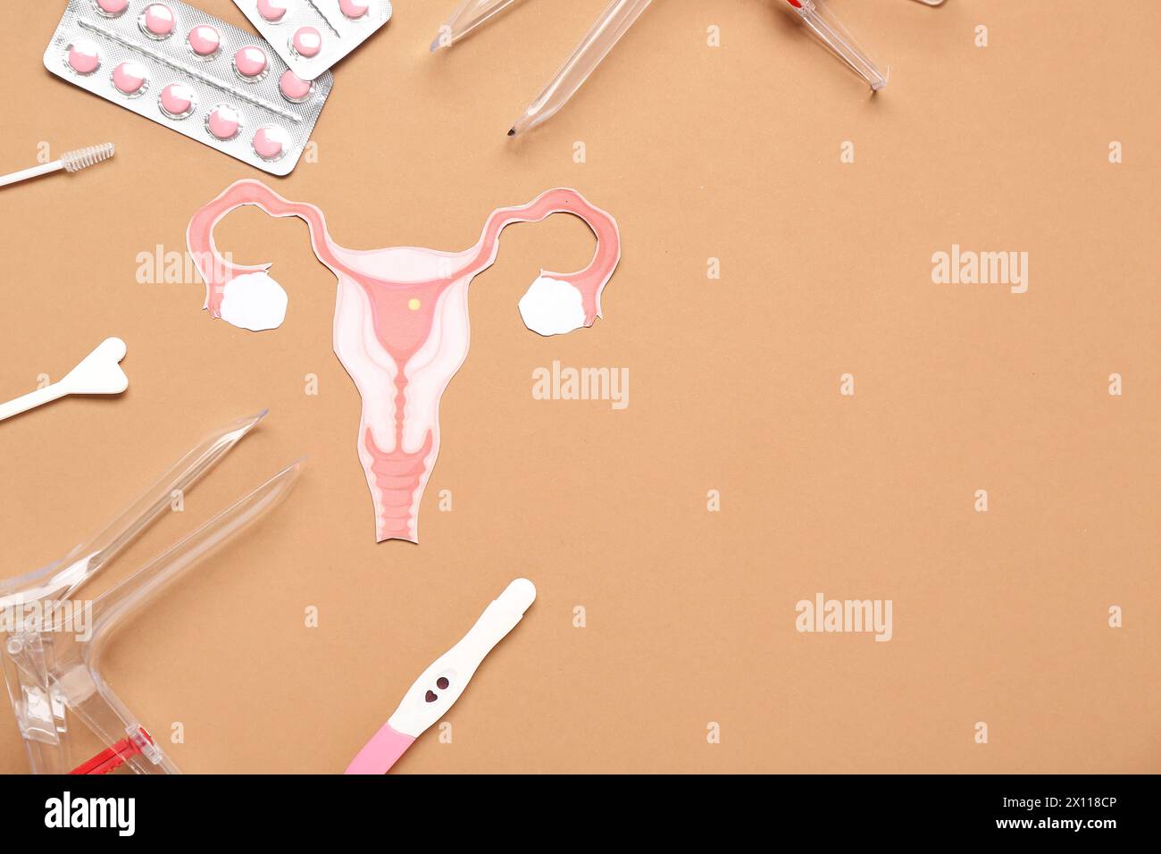 Paper uterus with gynecological speculums, pills and pap smear test tools on brown background Stock Photo