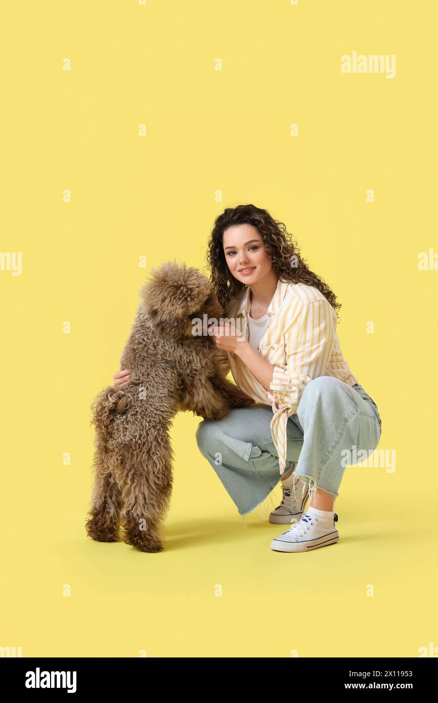 Young woman with poodle on yellow background Stock Photo