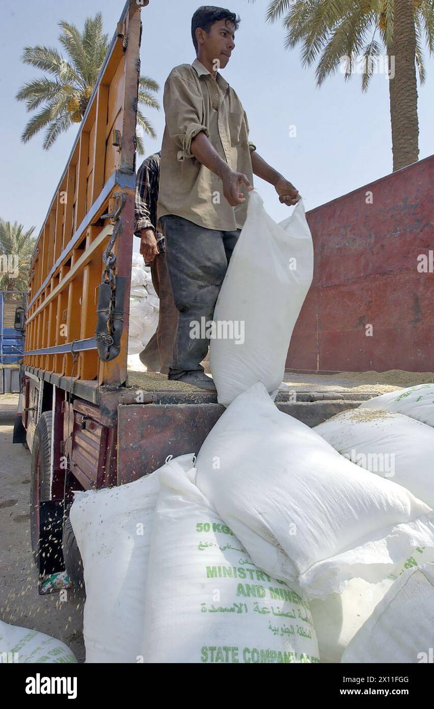 Local men from Al Beotha Iraq unload bags of seed and fertilizer at the Al Ahar School in the southeastern region of the Al Rashid district, the 5th BCT area of operations ca. August 4, 2004 Stock Photo