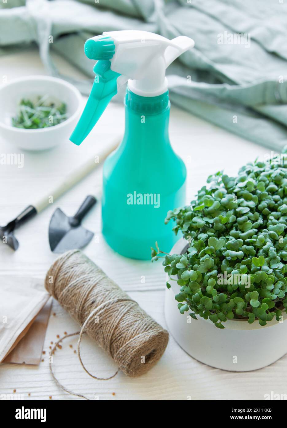 Best Soil and Growing Kits for Thriving Microgreens at Home 2025