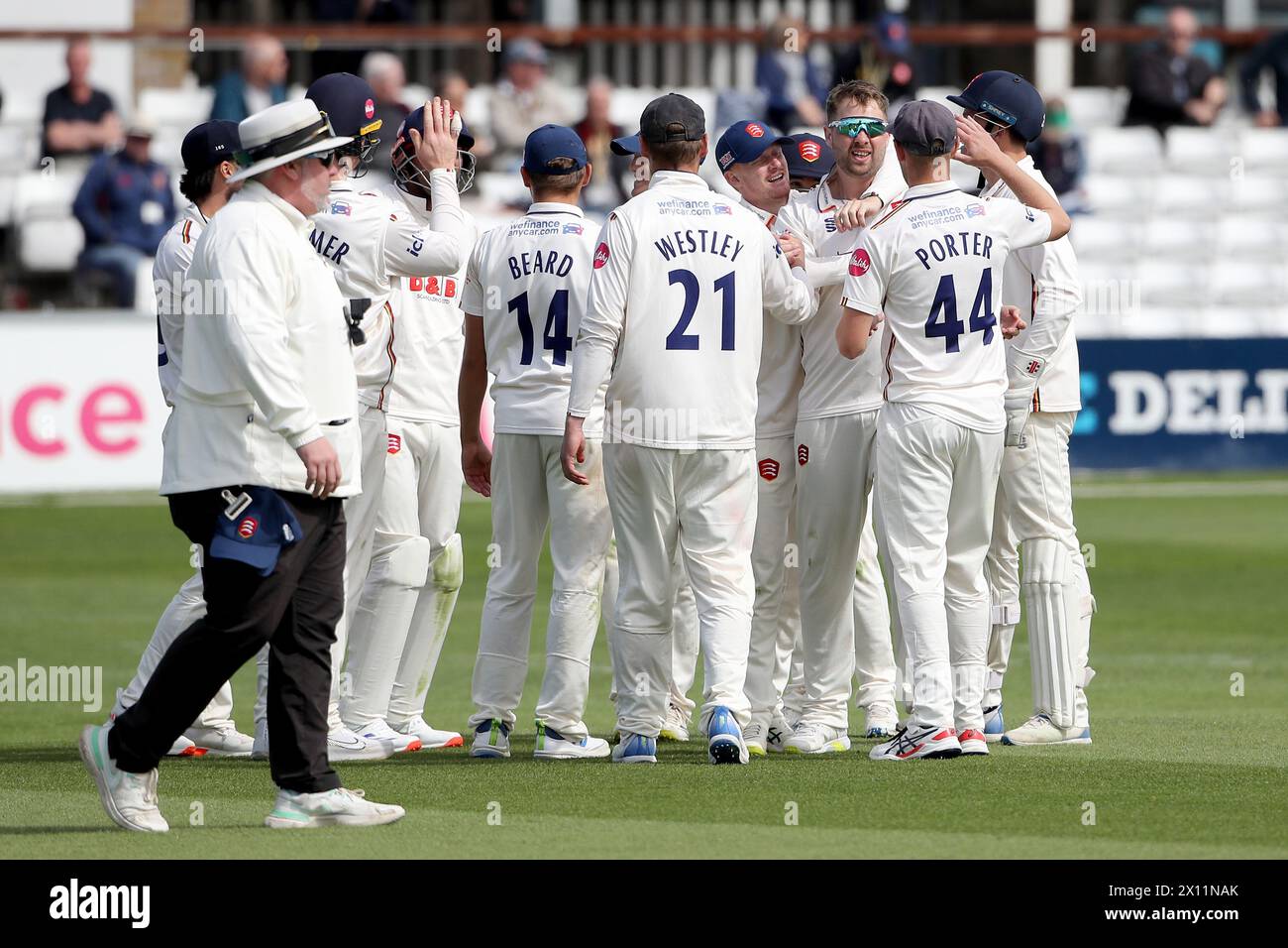 Matt Critchley of Essex celebrates with his team mates after taking the wicket of Jaydn Denly during Essex CCC vs Kent CCC, Vitality County Championsh Stock Photo