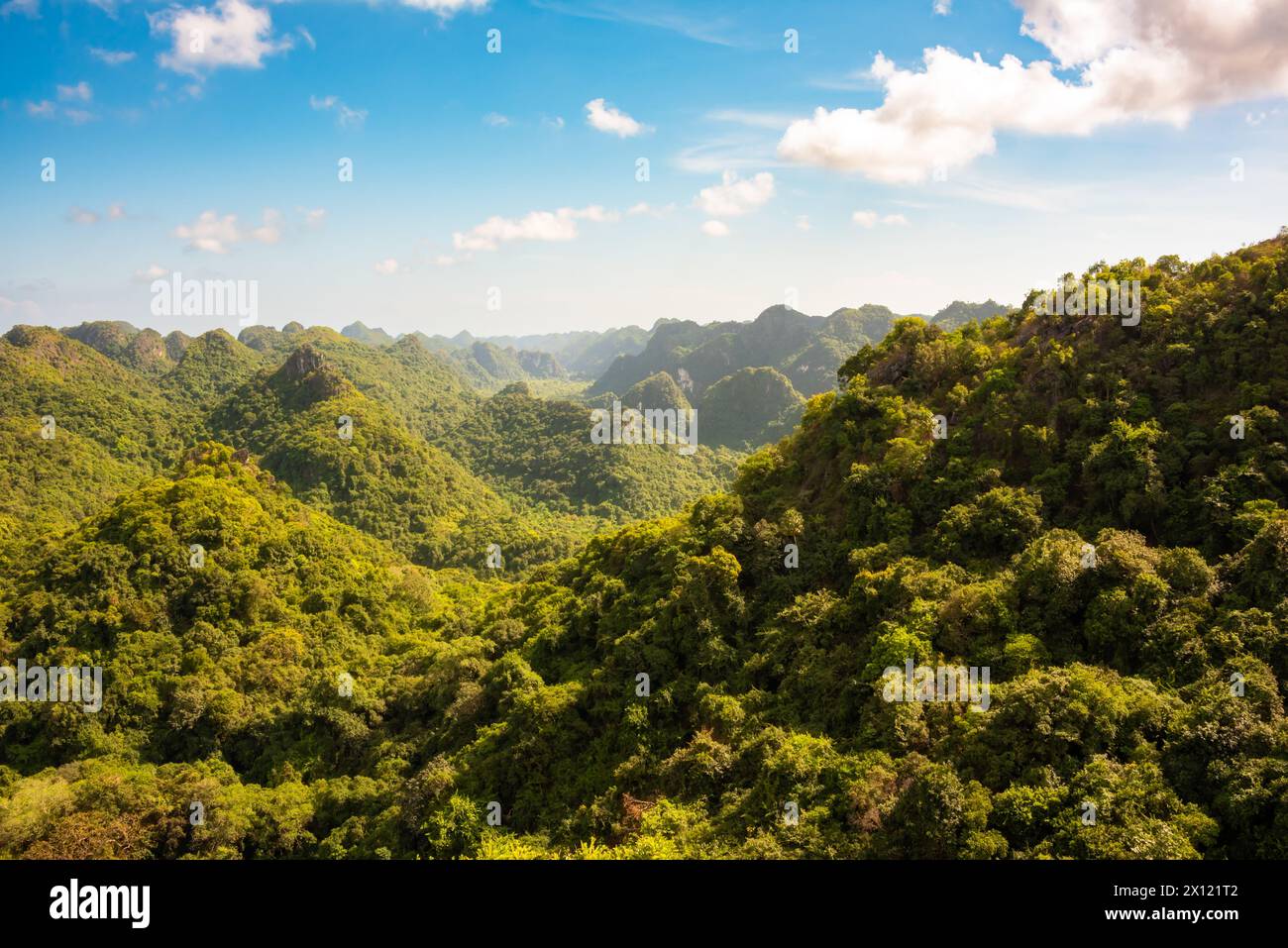 Cat Ba island in Vietnam. Green mountains with tropical rainforest ...