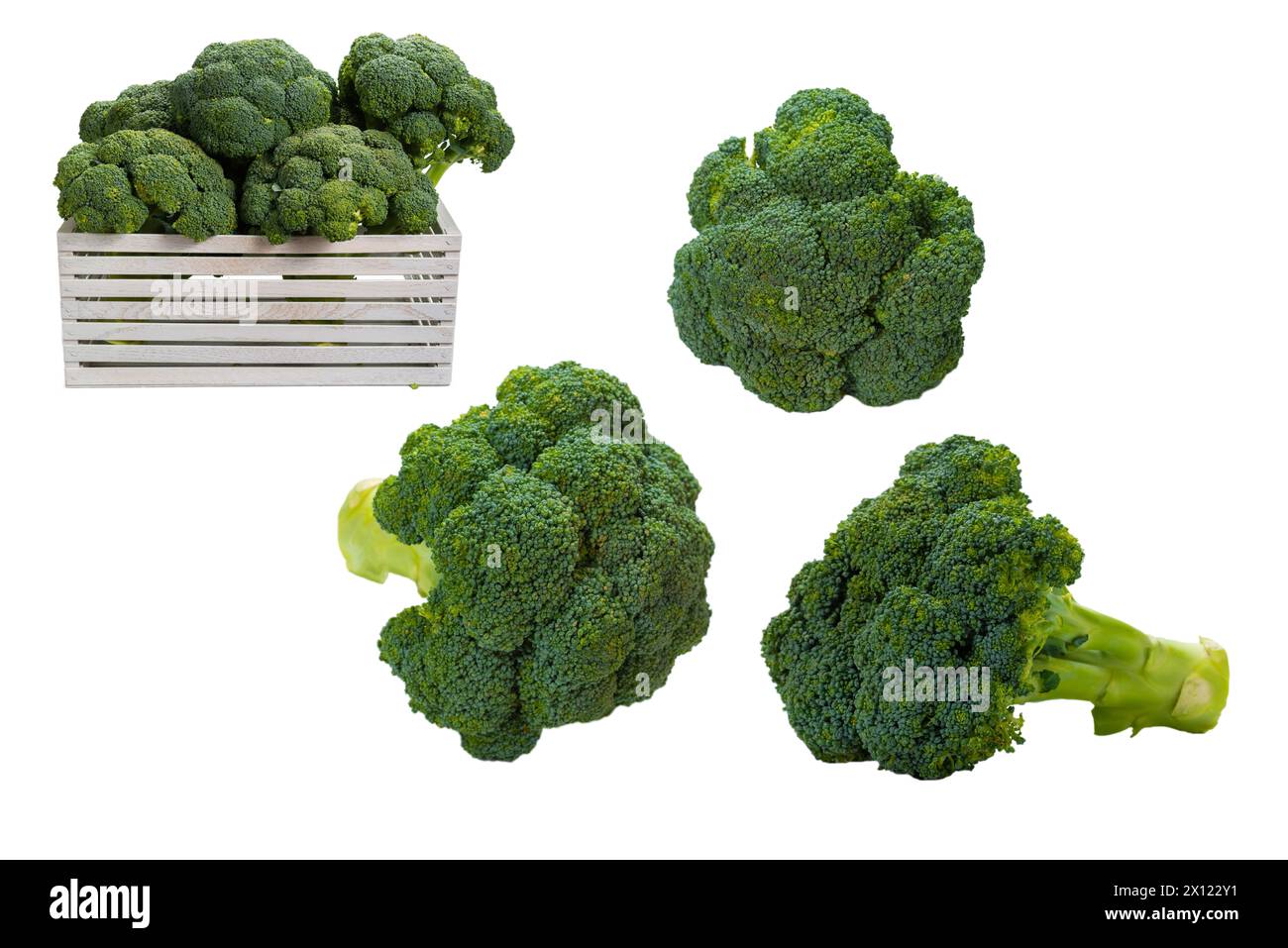 Fresh tasty broccoli isolated on white background. Stock Photo