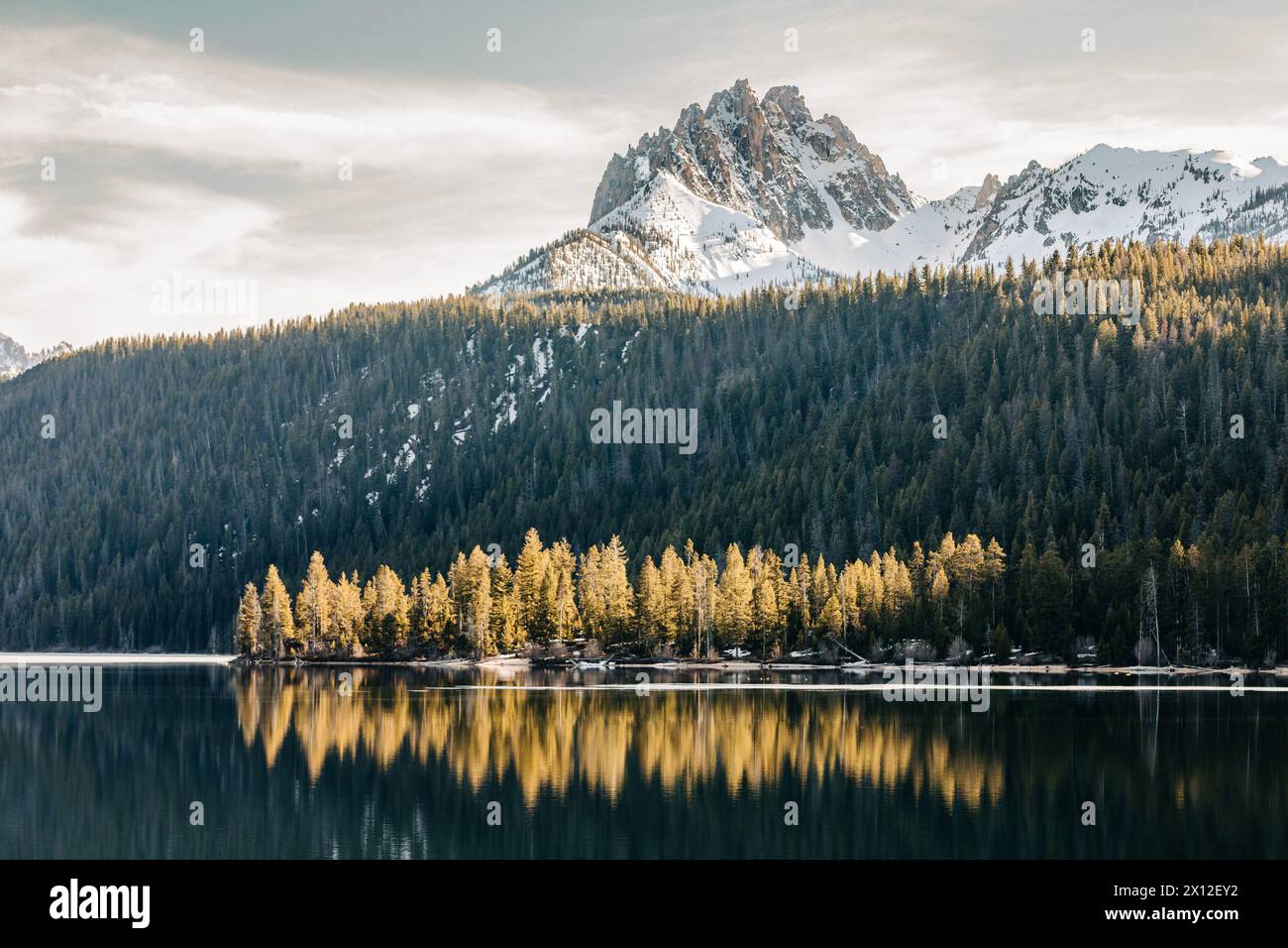 Backlit forest trees reflected in lake with Sawtooth Mountains Stock Photo