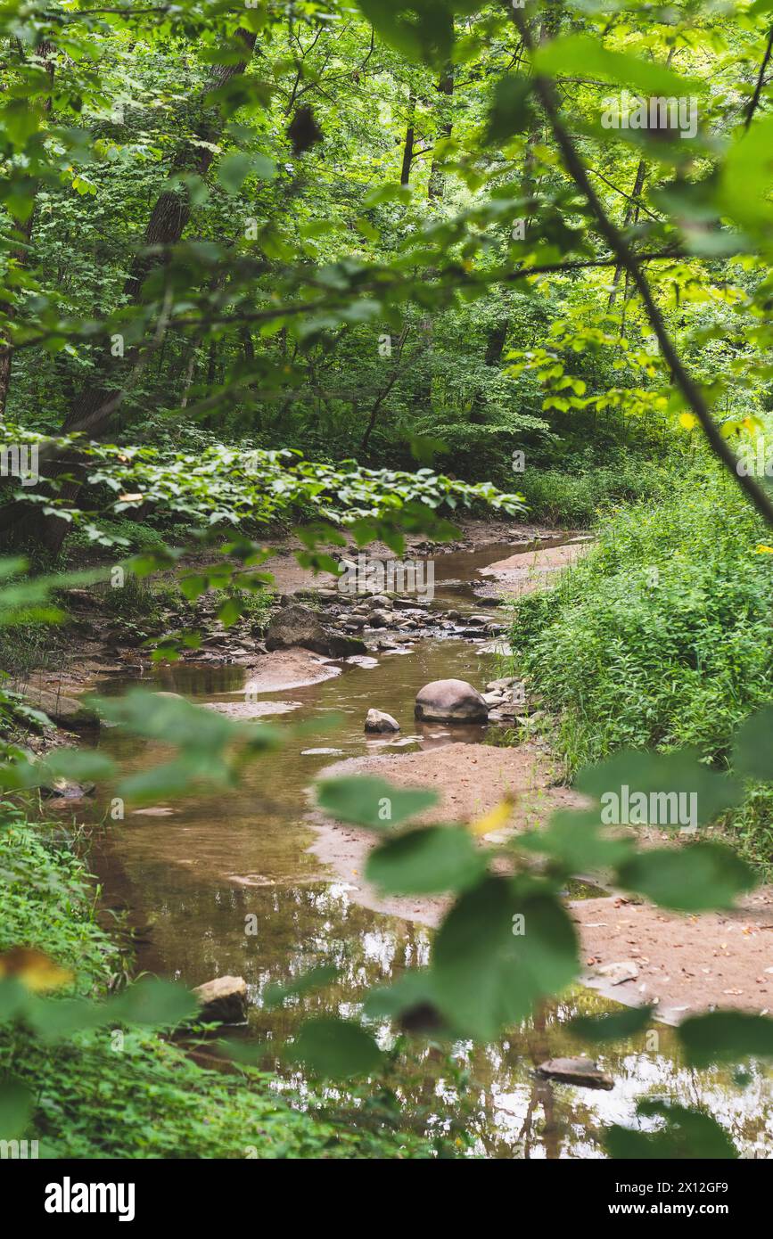 Lush flowing water hi-res stock photography and images - Alamy