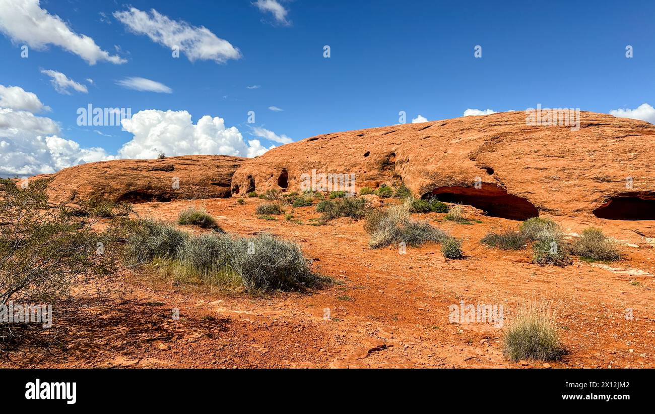 Bright desert hi-res stock photography and images - Alamy