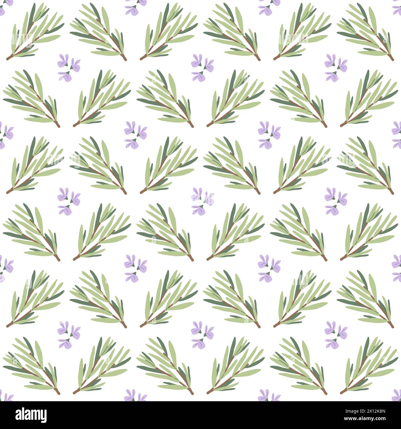 Rosemary seamless pattern. Rosemary plant green leaves repeat ...