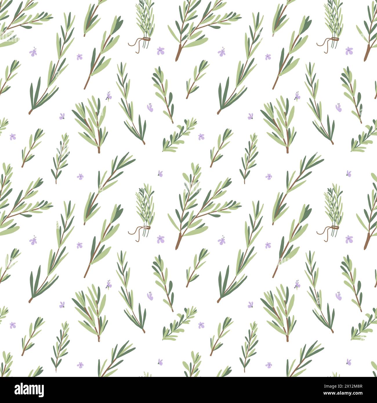 Rosemary herb seamless pattern. Rosemary plant green leaves repeat ...