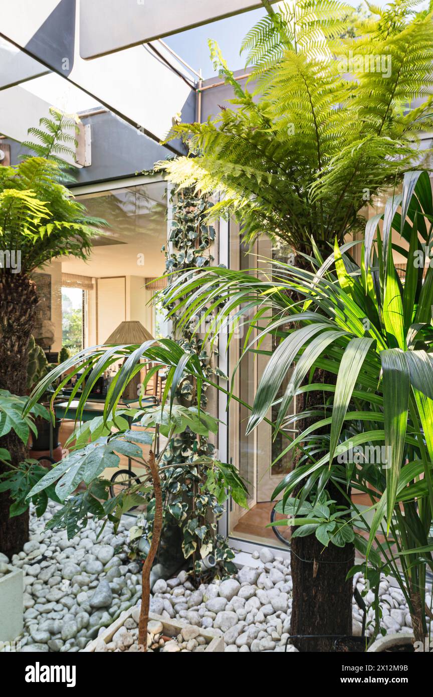 Palm house in Chiswick Mall, Thames waterside residence, London, UK Stock Photo