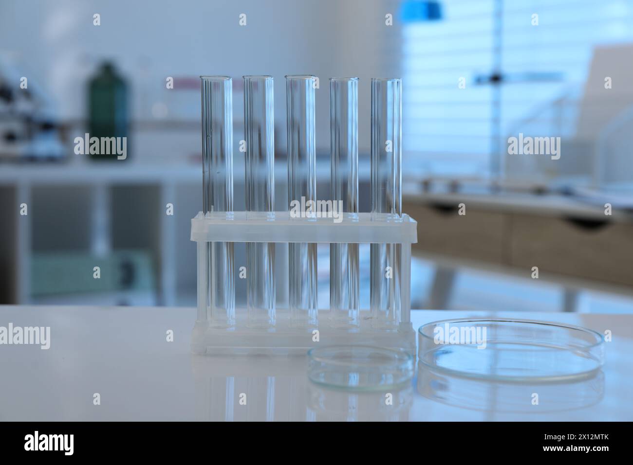 Laboratory analysis. test tubes and petri dishes on white table indoors ...
