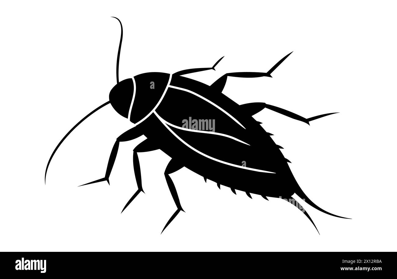 Black silhouette of a cockroach isolated on white background. Vector ...
