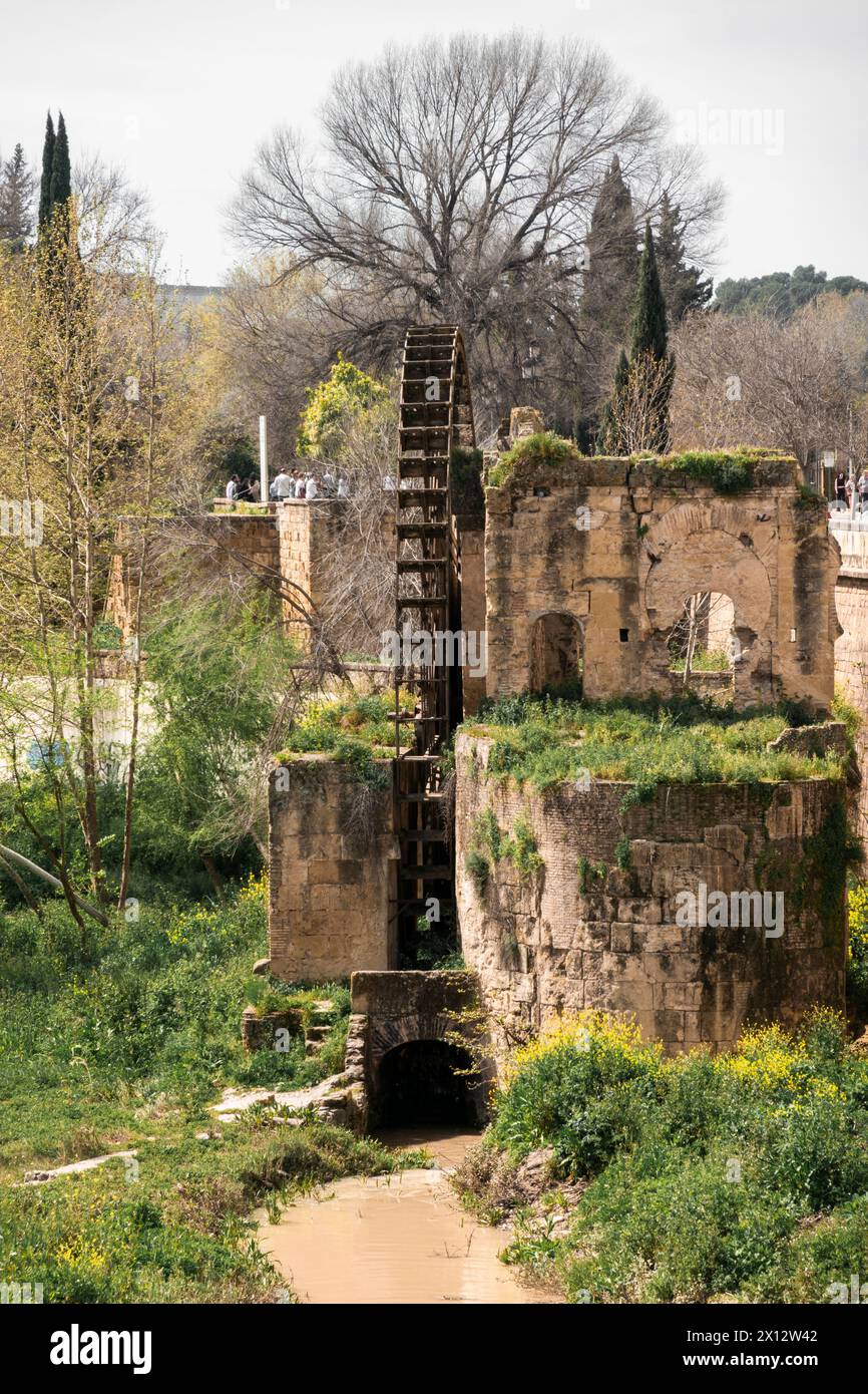 The Albolafia watermill, (Molino de la Albolafia in Spanish), is a very ancient medieval waterwheel along the Guadalquivir River in the historic cente Stock Photo