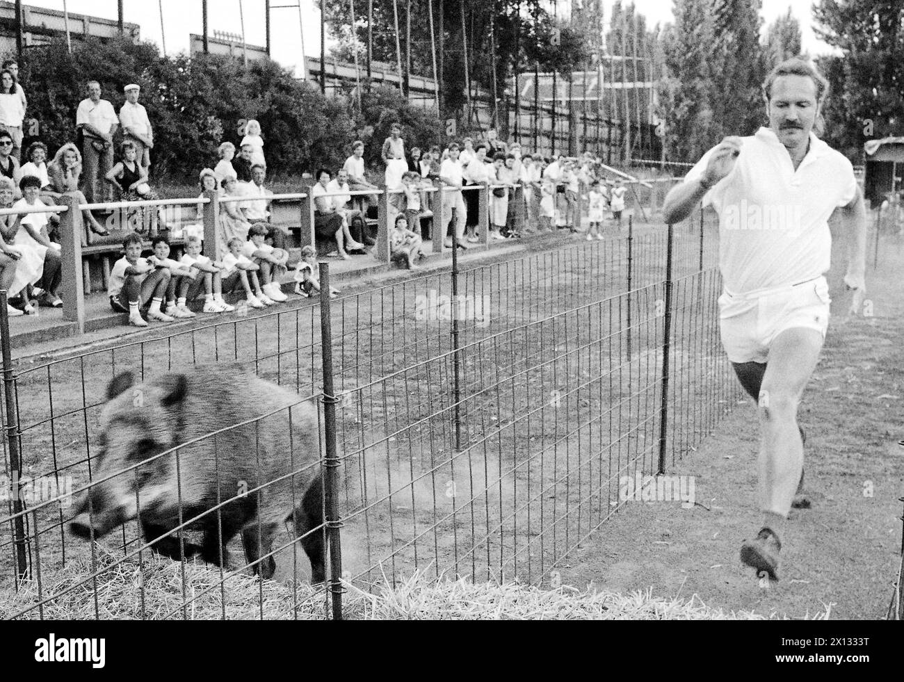man-vs-wild-animals-black-and-white-stock-photos-images-alamy