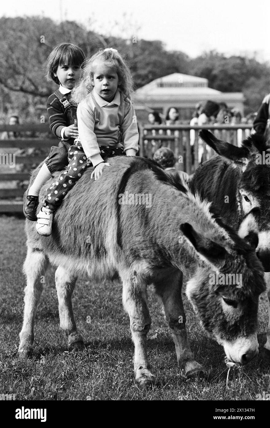 Goats at petting zoo Black and White Stock Photos & Images - Alamy